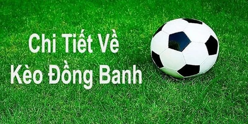 Nguyên tắc cơ bản thành viên cần hiểu rõ 